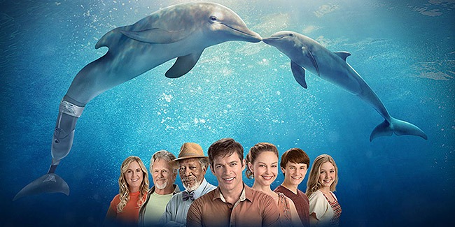 Dolphin Tale 2